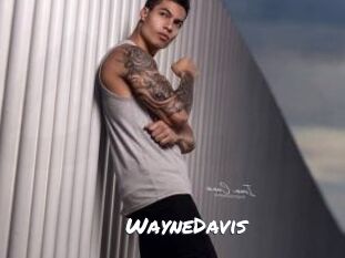 WayneDavis