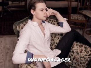 WayneGalager