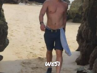 WeS1