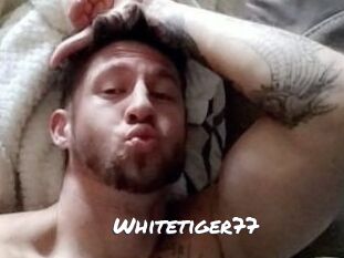 Whitetiger77