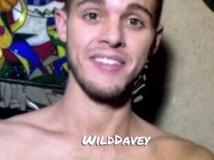 WildDavey