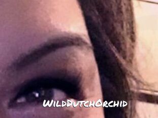 WildDutchOrchid