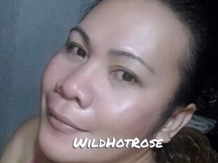 WildHotRose