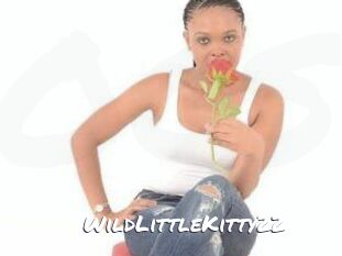 WildLittleKitty22