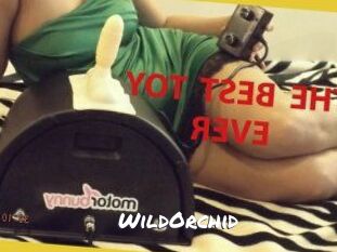 WildOrchid_