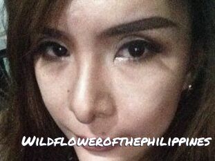Wildflowerofthephilippines