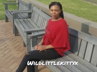 Wildlittlekittyx