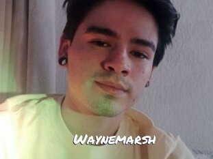 Waynemarsh