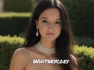 whitneycoey Ochranne Siete