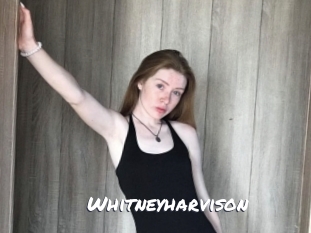 Whitneyharvison