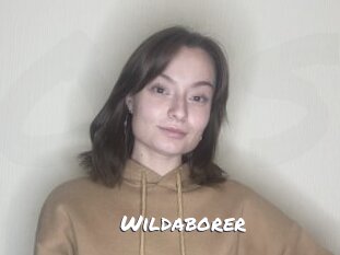 Wildaborer