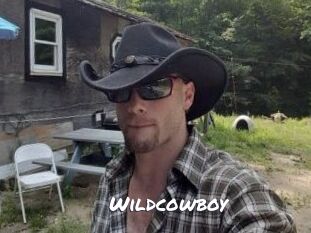 Wildcowboy