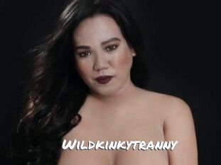 Wildkinkytranny