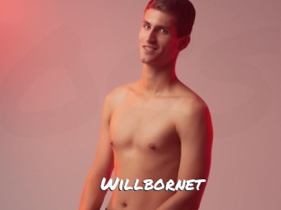 willbornet Ochranne Siete
