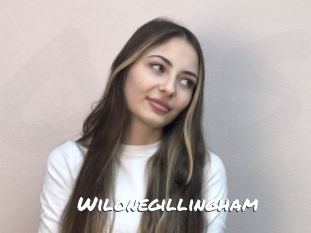 wilonegillingham Ochranne Siete