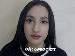 Wilonegorse