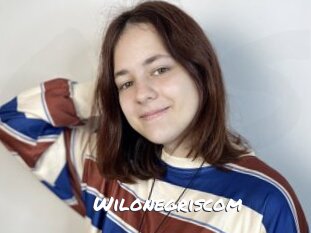 Wilonegriscom