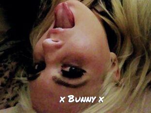 _x_Bunny_x_