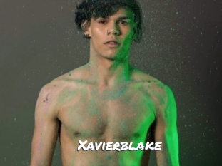 xavierblake Ochranne Siete