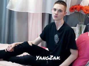 YangZak