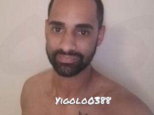 Yigolo0388