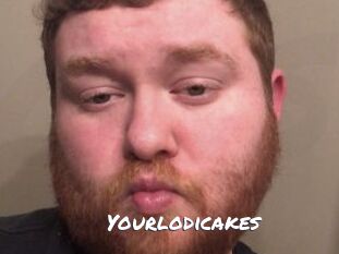 Yourlodicakes