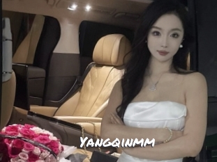 Yangqinmm