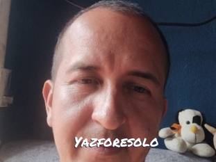 yazforesolo Ochranne Siete