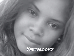 Ynesbrooks
