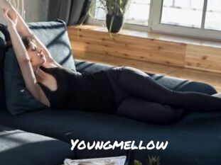 Youngmellow