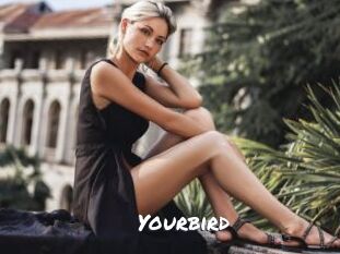 Yourbird