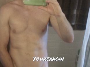 yourexnow Ochranne Siete