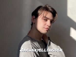 zacharyellington Ochranne Siete