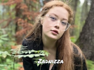 Zadnizza