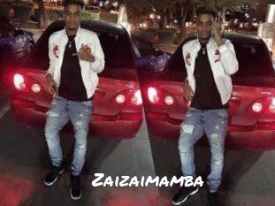 Zaizai_mamba