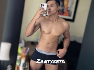 zantyzeta Ochranne Siete