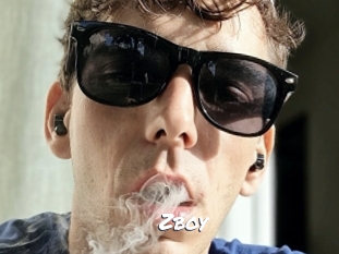 Zboy
