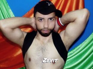 Zevit