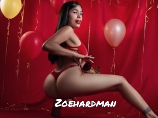 zoehardman Ochranne Siete
