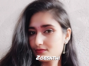 zoesathi Ochranne Siete