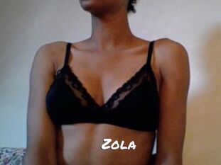 zola Ochranne Siete